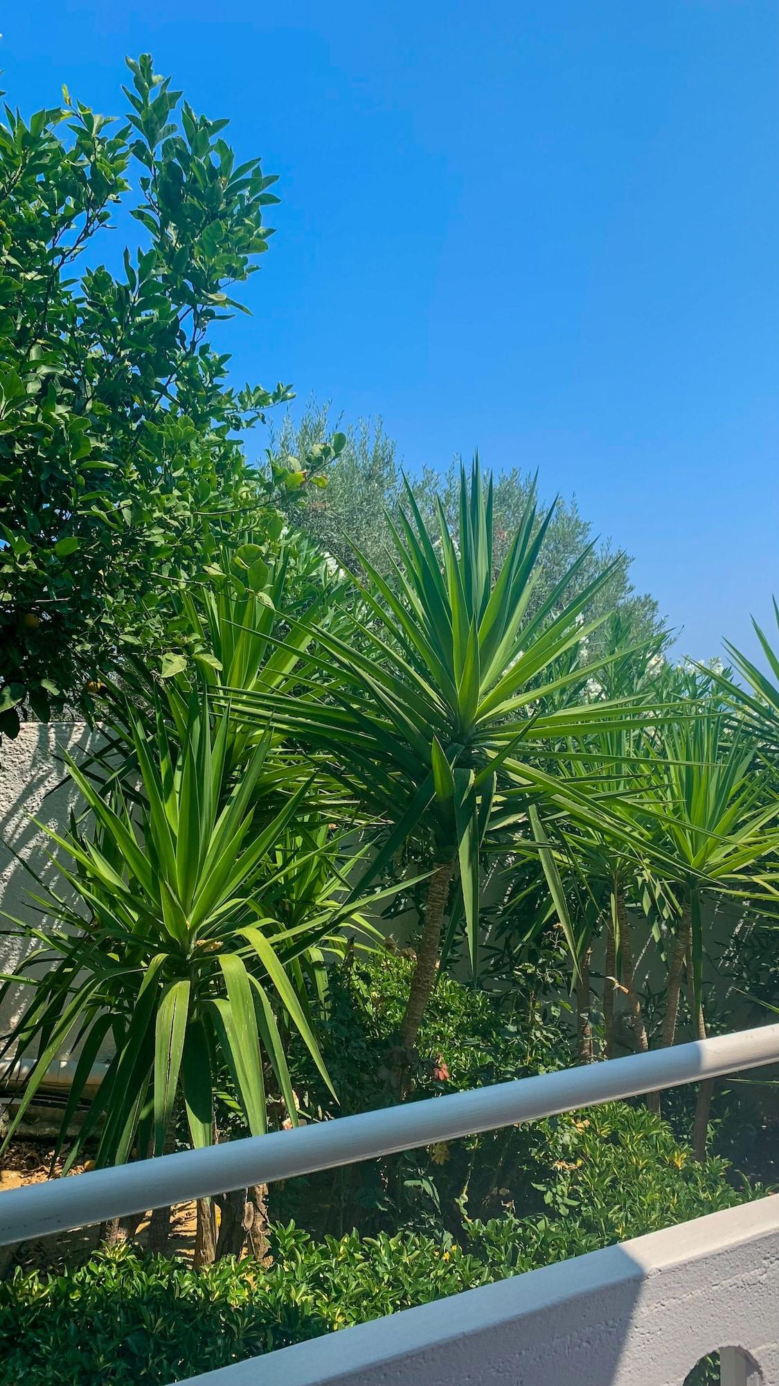 Skala Apartments Agia Marina エクステリア 写真