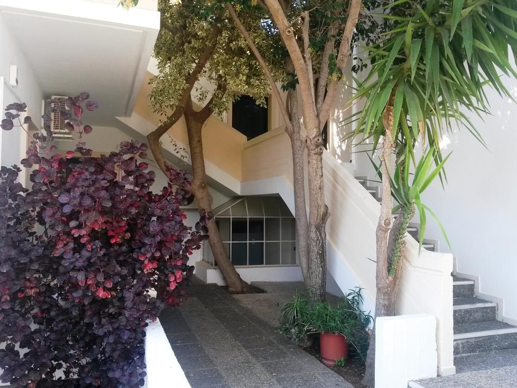 Skala Apartments Agia Marina 部屋 写真